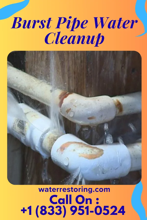 Burst Pipe Water Cleanup in New Meadows, ID