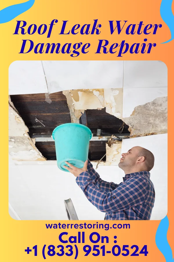 Roof Leak Water Damage Repair in New Meadows, ID