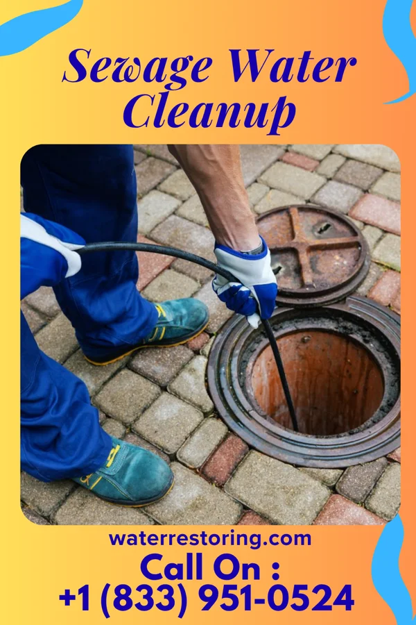 Sewage Water Cleanup in New Meadows, ID